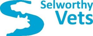 Selworthy Vets